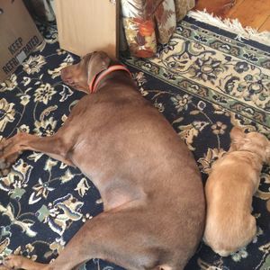 Meet your Posher, Nessa